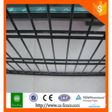 2015 hot sale!!! china manufacturer double wire mesh fence